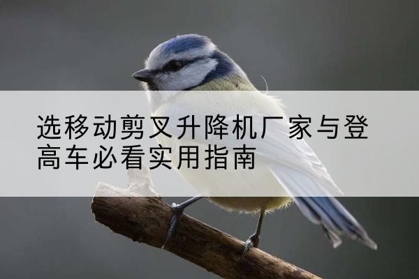 文山电动升降机厂家-选移动剪叉升降机厂家与登高车必看实用指南