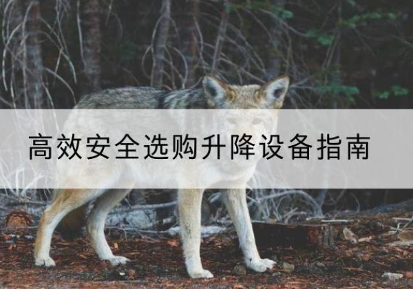 文山升降货梯厂家推荐-*安全选购升降设备指南