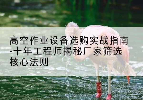 文山剪叉式升降机厂家-高空作业设备选购实战指南-十年工程师揭秘厂家筛选核心法则